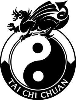 taichi logo